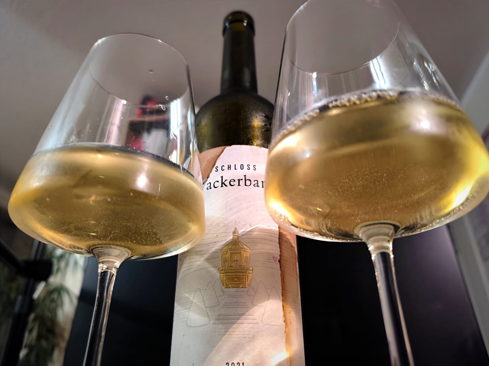 Schloss Wackerbarth Bacchus 2021 – Wein der Woche