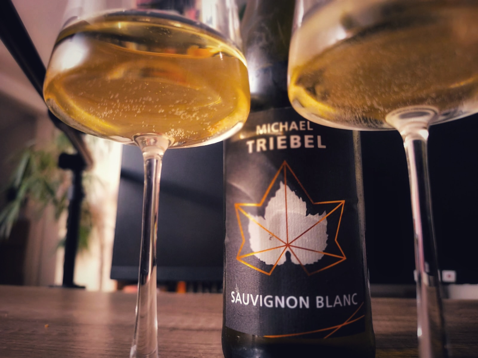 Sauvignon Blanc 2022 – Weingut Michael Triebel